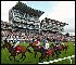 Win a trip for two to York races